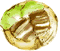 ςςςĉH
